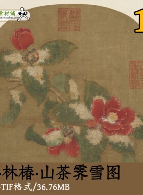 宋代林椿山茶霁雪/传统绘画国画工笔画写生茶花图宋画原图gd13614