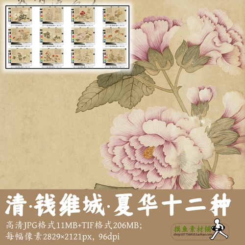 清钱维城/夏华十二种/国画集植物花卉册页临摹素材电子版gd17514