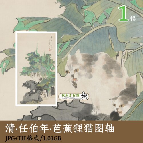 清代任伯年芭蕉狸猫图/国画猫图工笔画猫咪tif古画原图片gd12801