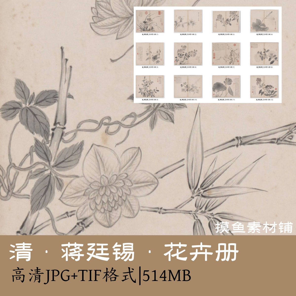 清蒋廷锡/花卉册12帧中国画写生植物图册电子版设计素材图鉴g1625