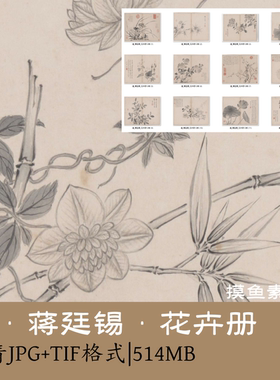 清蒋廷锡/花卉册12帧中国画写生植物图册电子版设计素材图鉴g1625