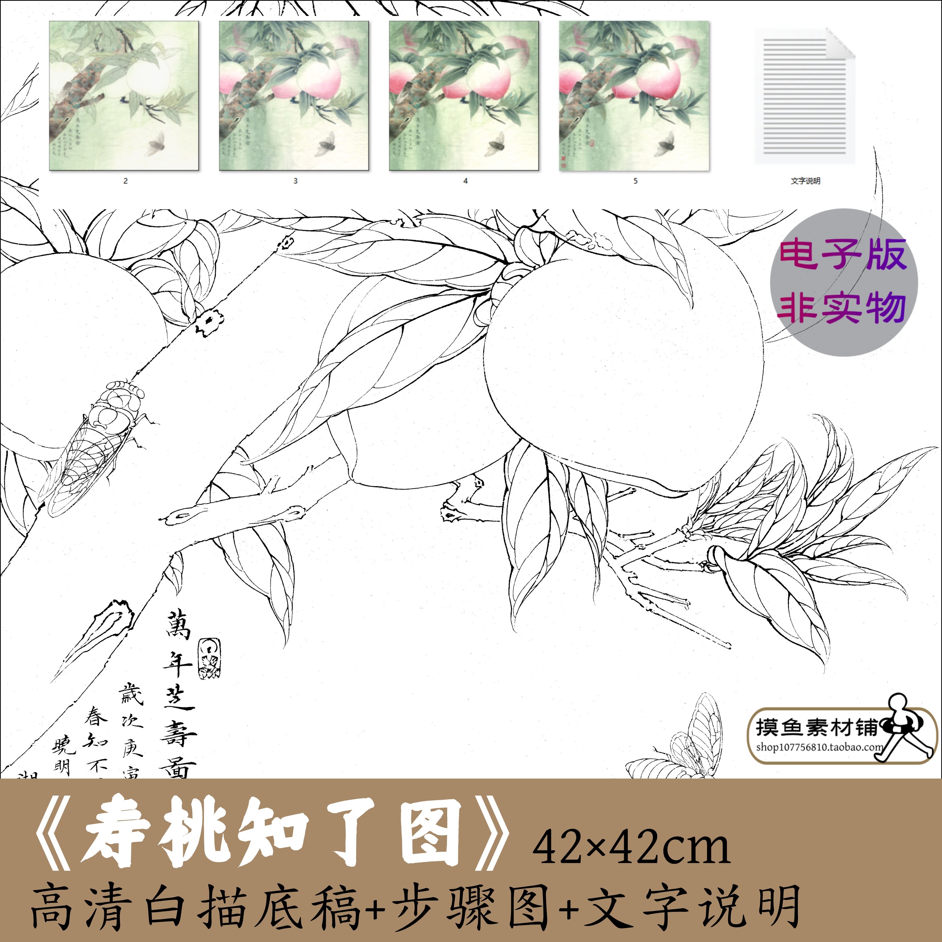 工笔寿桃子知了图电子版白描底稿 花卉草虫图临摹初学者素材x247