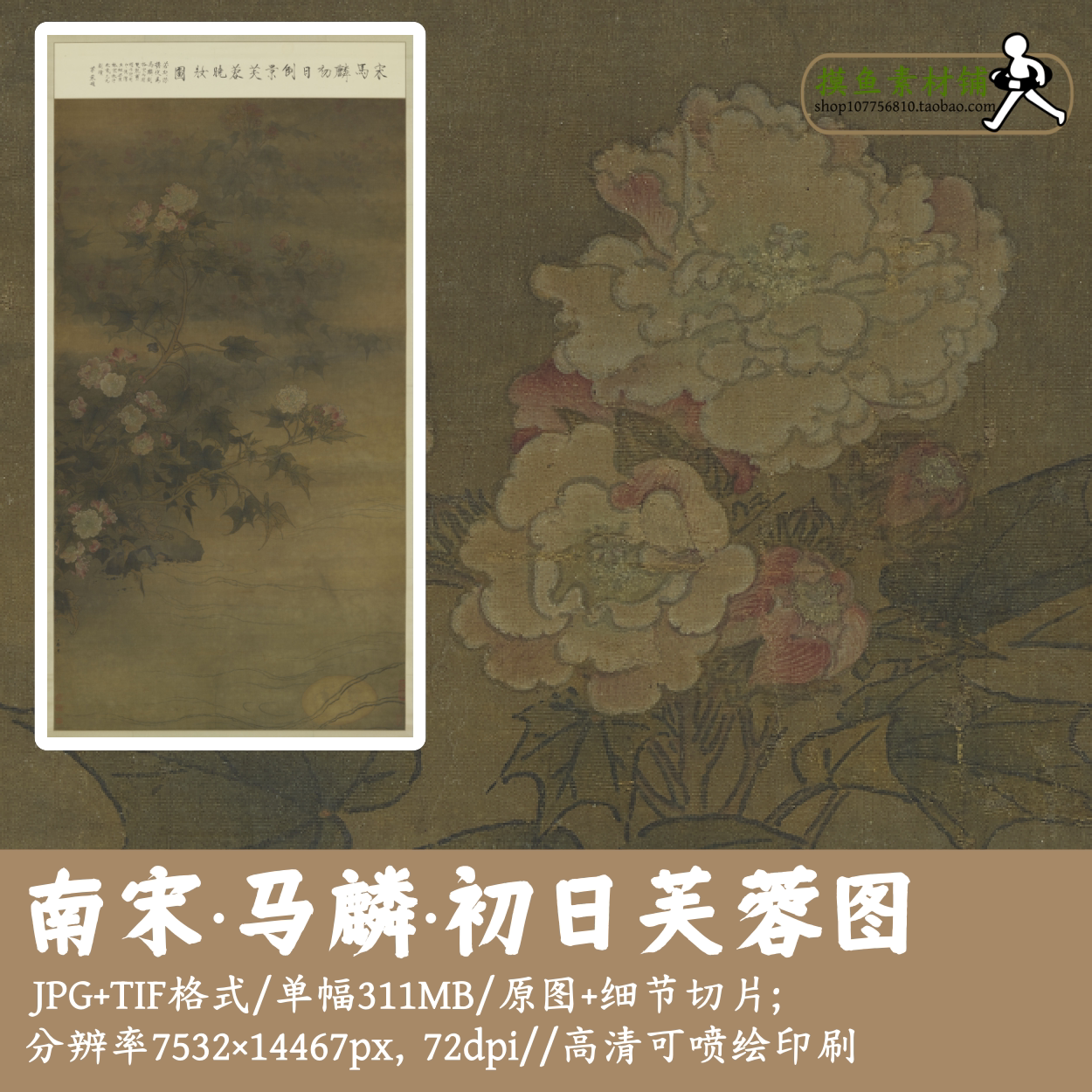 南宋马麟初日芙蓉图/中国画高清工笔花卉植物tif电子版古画G17921