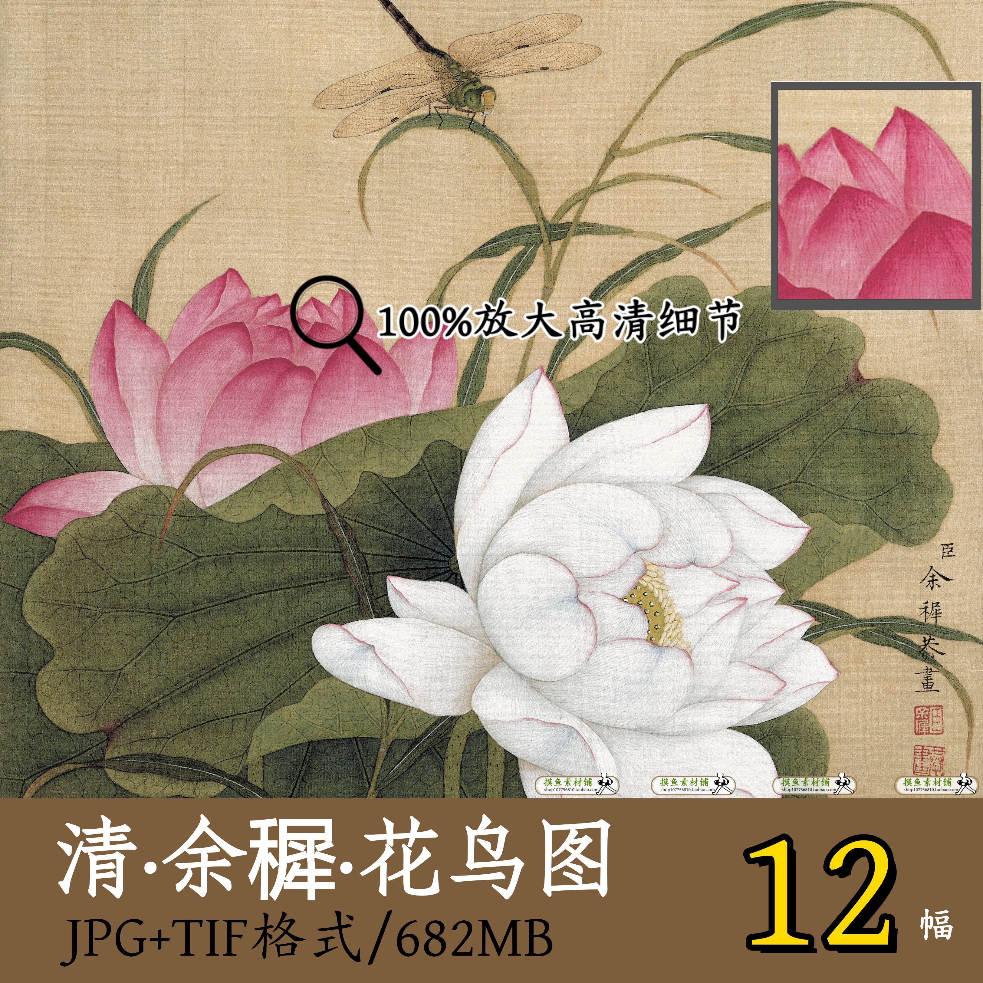 清代宫廷画家余穉花鸟图级/绘画集工笔花鸟荷花蜻蜓萱草蝴蝶Z162