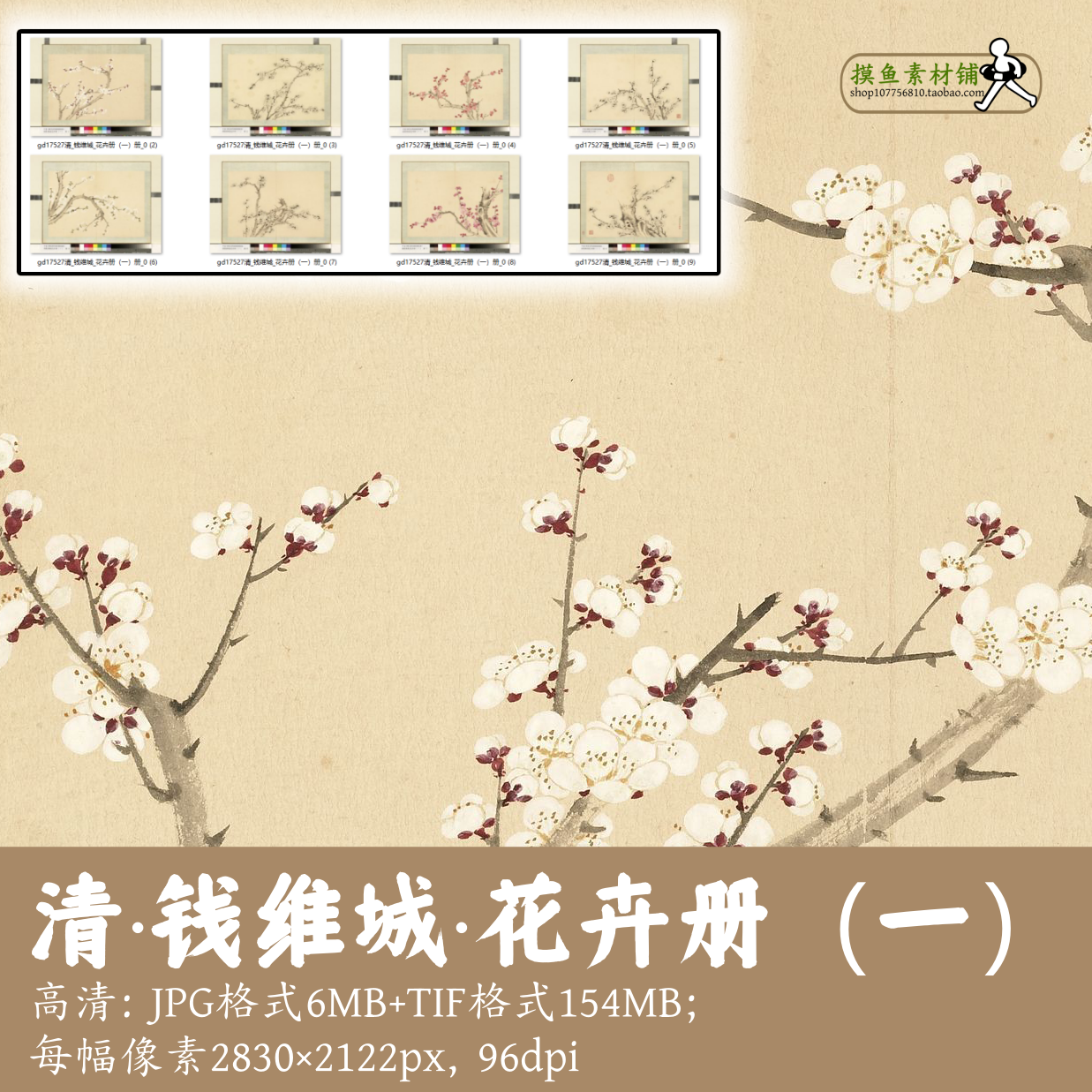 清钱维城/花卉册(第一册)中国画梅花图红梅白梅古画原图gd17527
