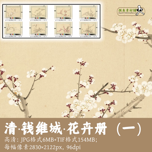 清钱维城/花卉册(第一册)中国画梅花图红梅白梅古画原图gd17527