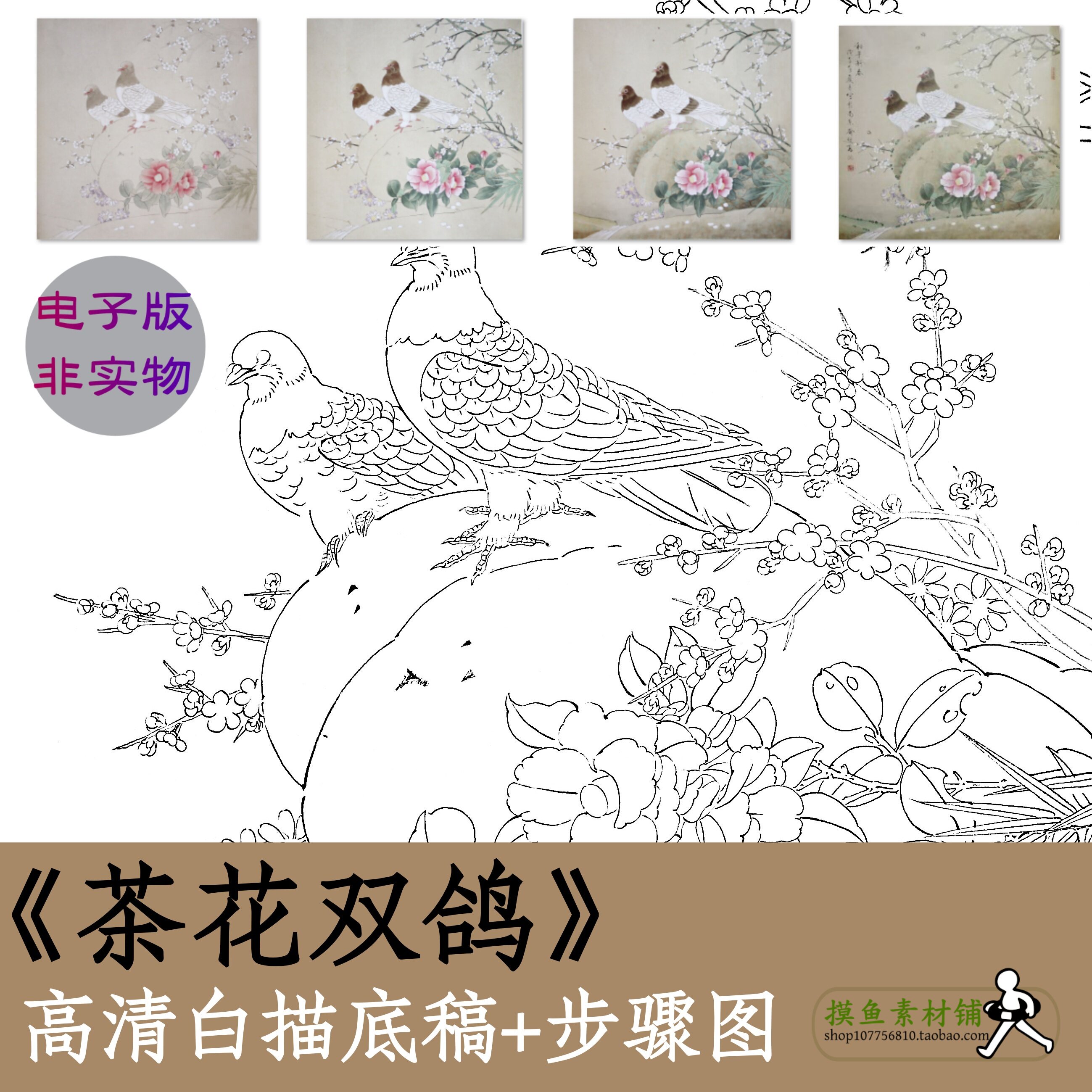 国画山茶花双鸽图白描线稿初学者临摹素材工笔花鸟画步骤图x178