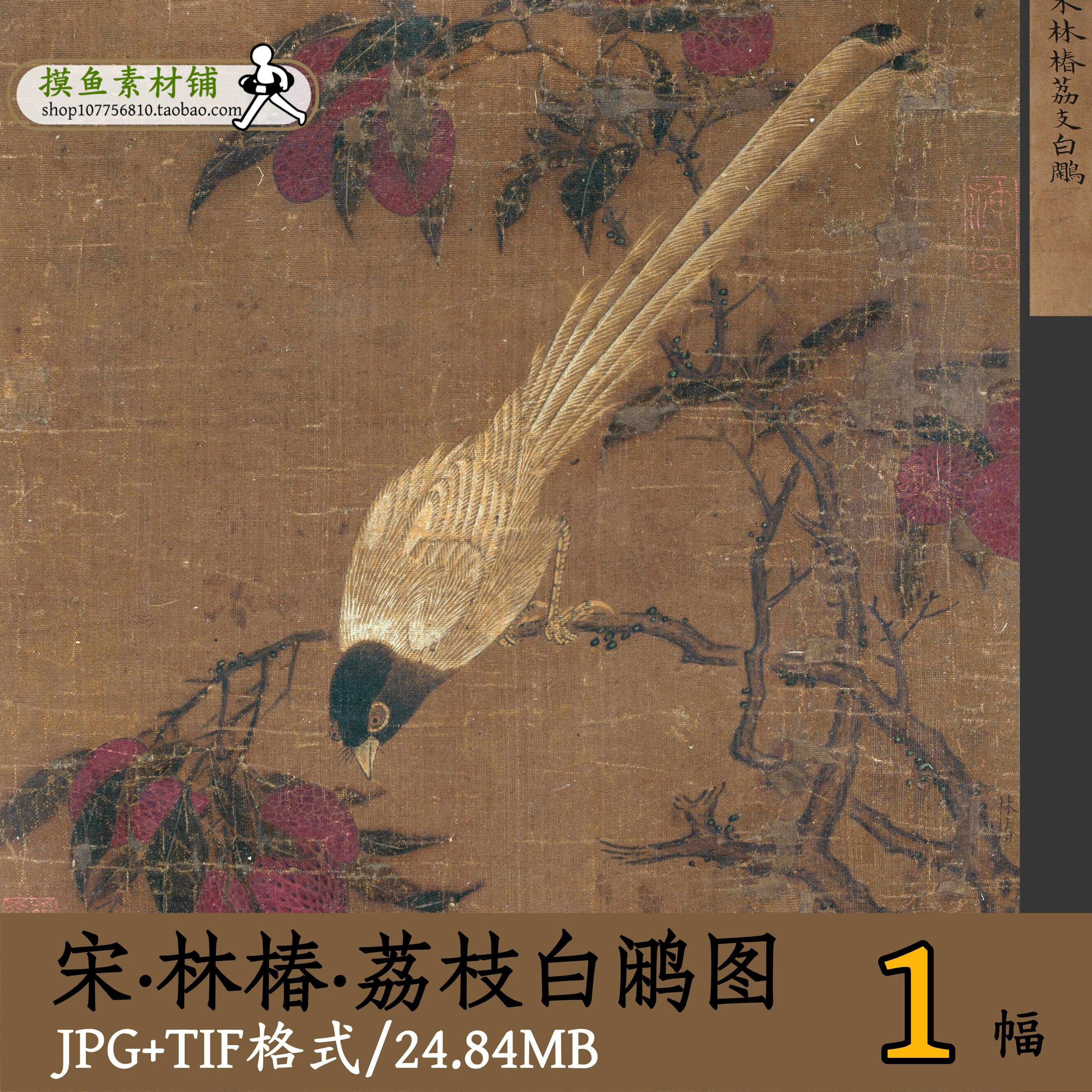 宋代林椿荔枝白鹇图/国画传统绘画工笔花鸟画电子版tif大图gd1364