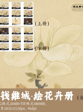 清钱维城绘花卉册/上下册合集/国画集没骨花卉电子版素材gd17511
