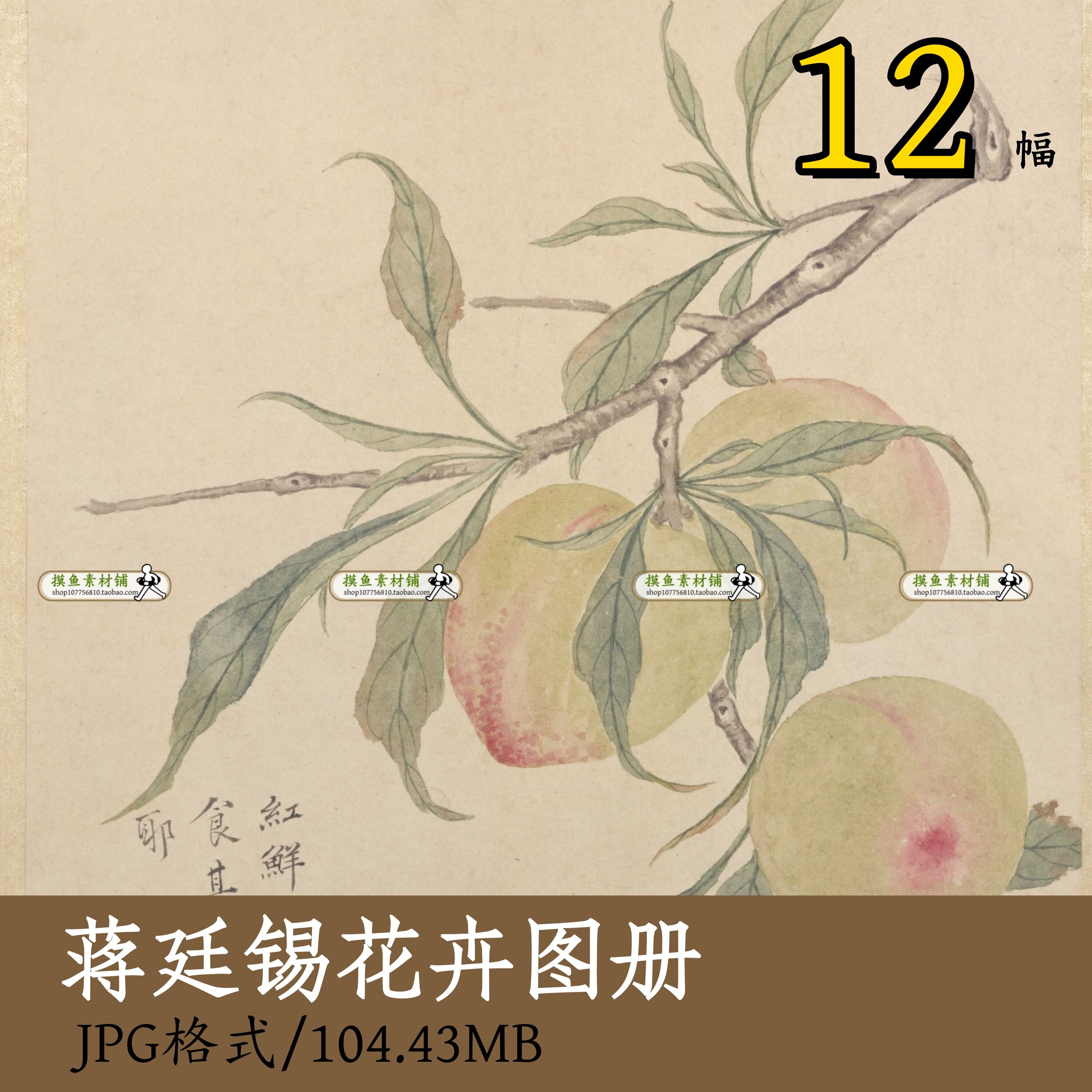 临蒋廷锡花卉图册/国画小写意没骨画写生植物图鉴电子版普清z124