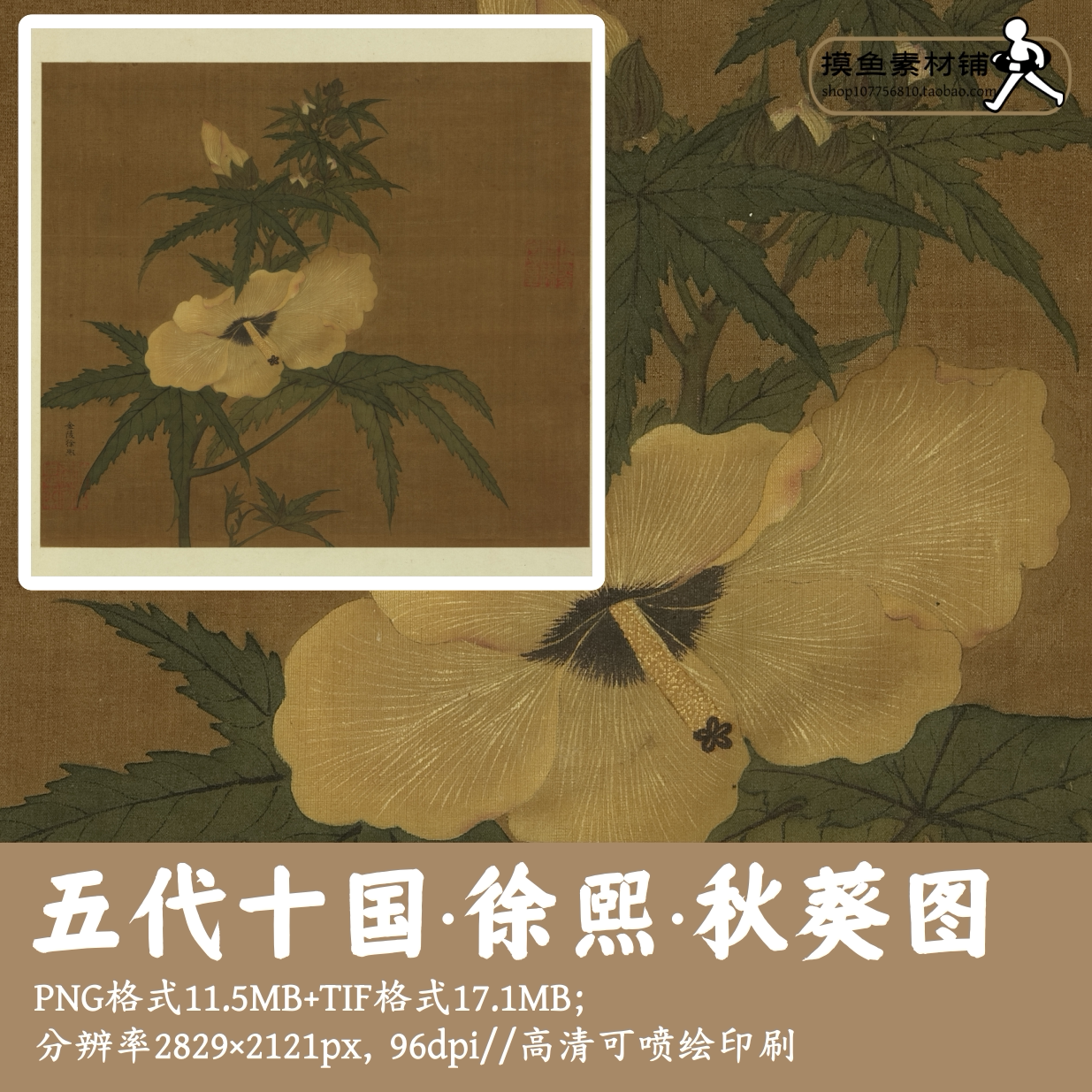 徐熙/秋葵图/中国画写生植物花卉电子版设计素材古画原图gd1355