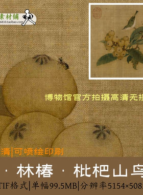 宋 林椿 枇杷山鸟图/中国画名画宋画原图tif格式高清素材打印喷绘