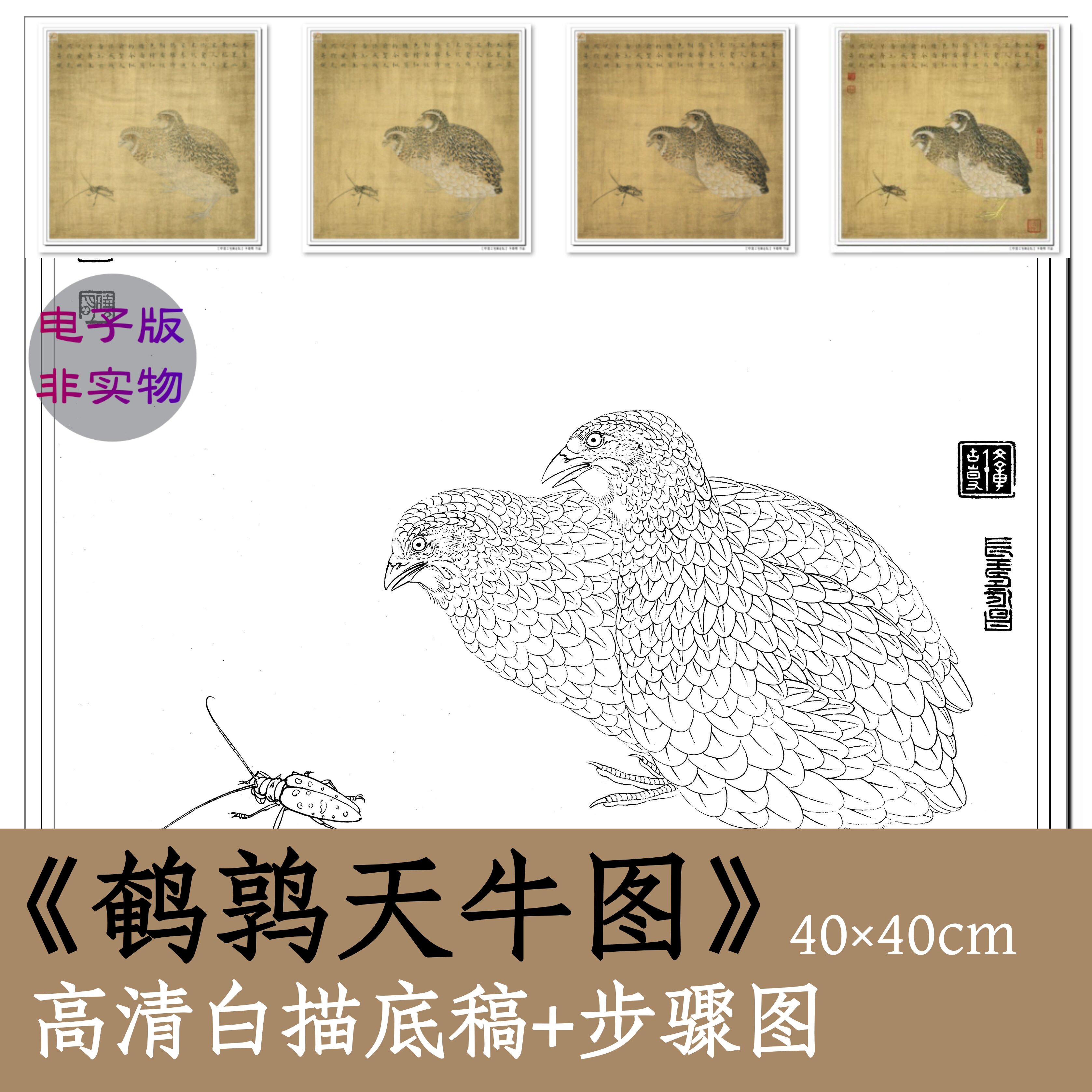 国画白描勾线稿素材电子版工笔禽鸟鹌鹑天牛图临摹教程步骤图x094
