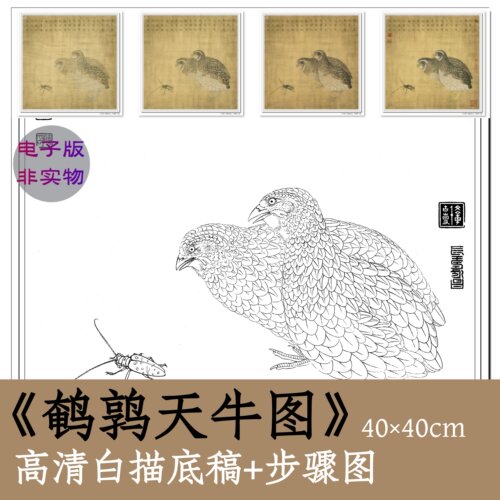 国画白描勾线稿素材电子版工笔禽鸟鹌鹑天牛图临摹教程步骤图x094