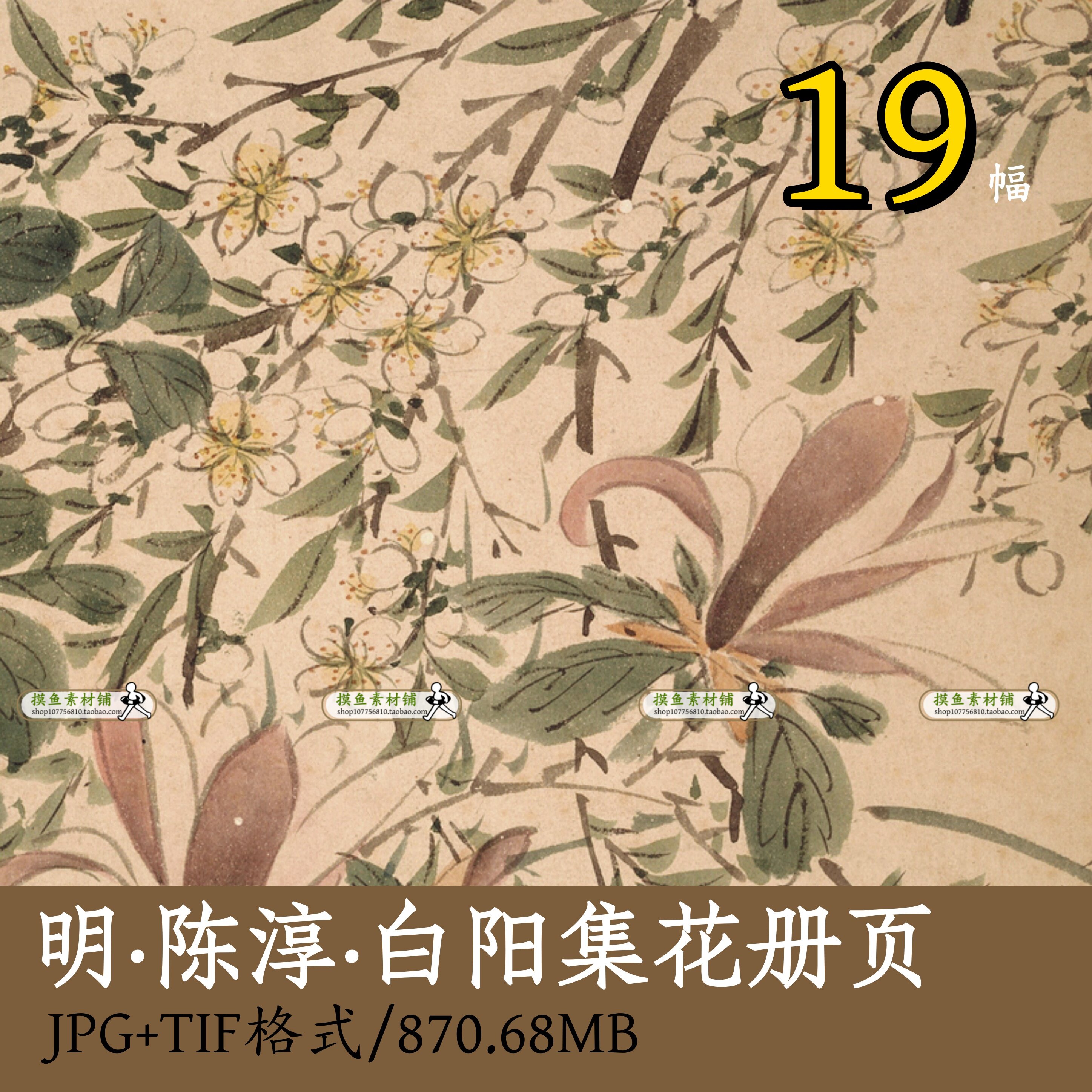 明代陈淳陈道复白阳集花册页/国画传统绘画写生花卉册页画集z142