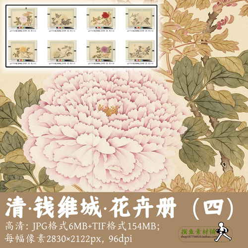 清钱维城/花卉册(第四册)中国画写生花卉画集牡丹图电子版gd17530