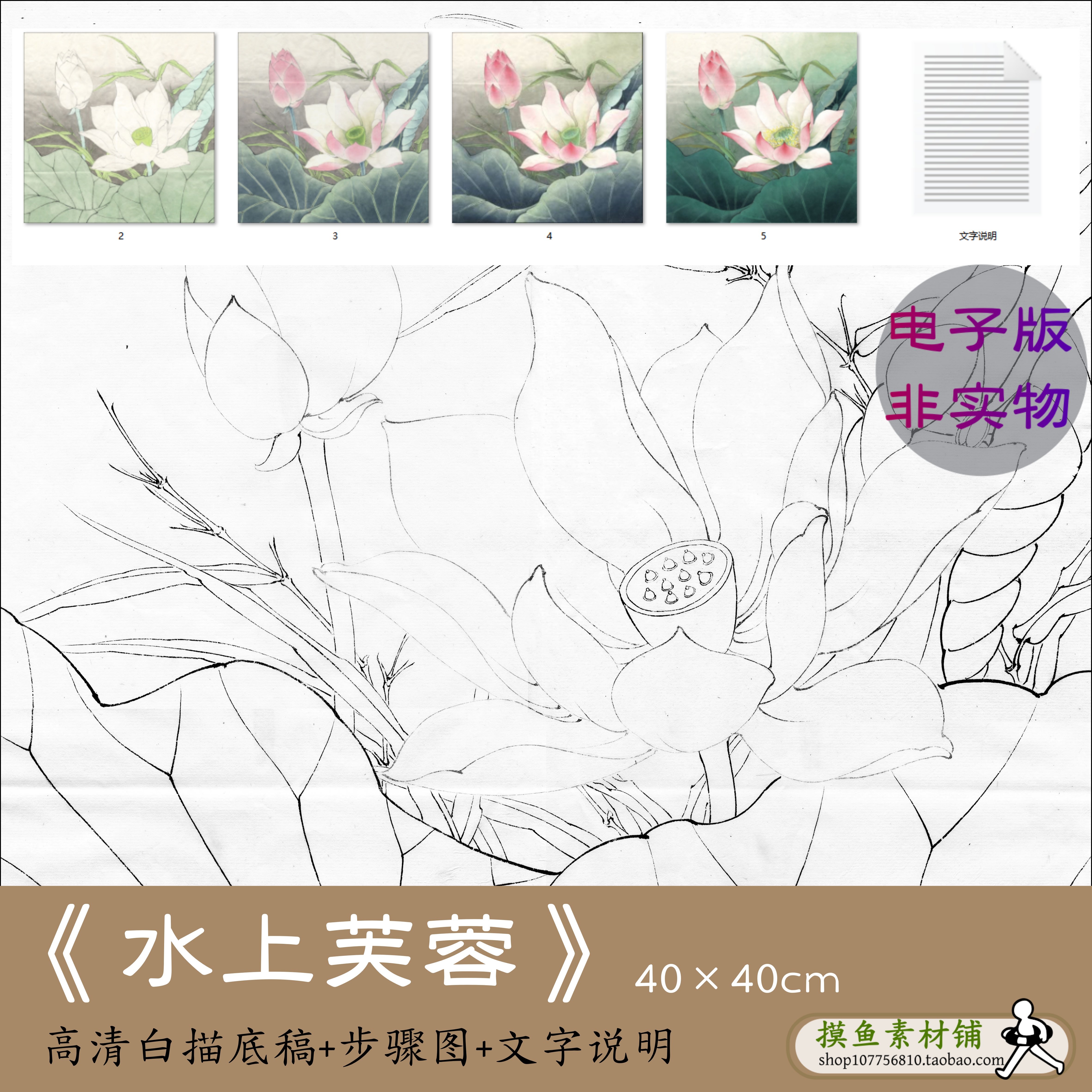水上芙蓉/国画工笔荷花线描底稿步骤图文字说明教程电子版图x098