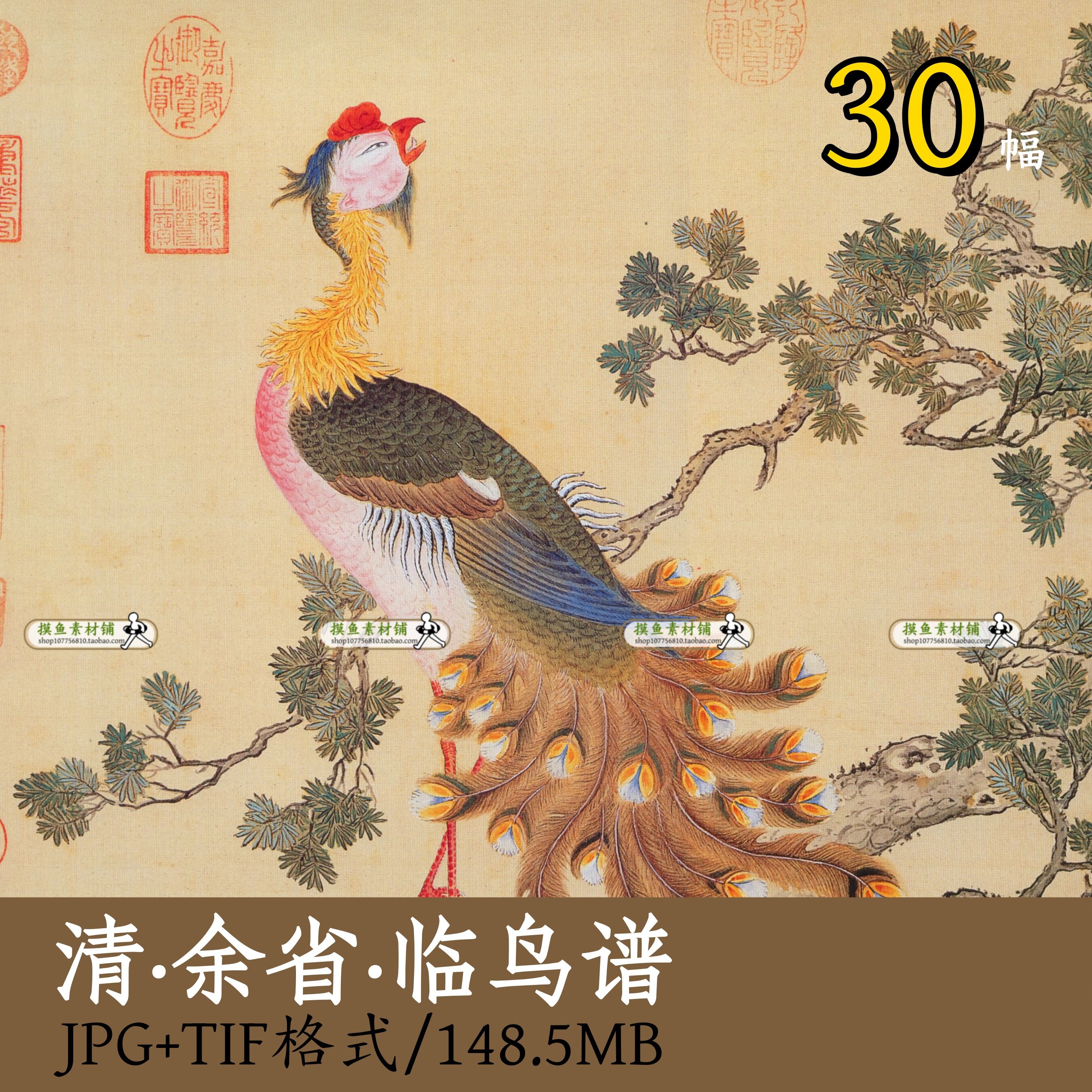 清代画家余省临鸟谱/国画工笔花鸟类图鉴装饰画芯设计素材z113