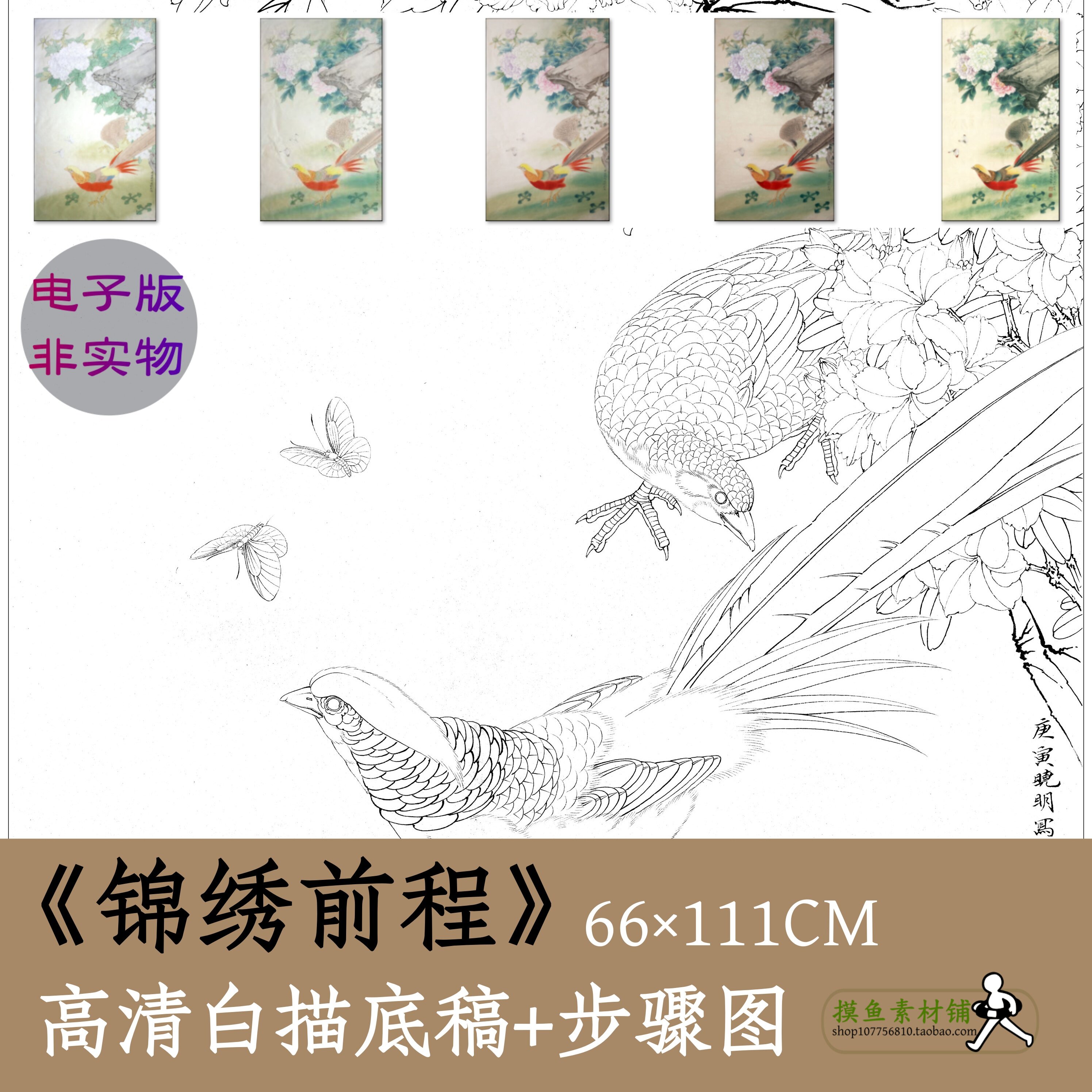 国画工笔花鸟画白描底稿电子版x045《锦绣前程