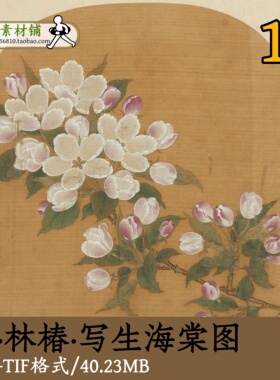 宋代林椿写生海棠图/高清宋画宋人小品传统国画工笔花卉图gd13618