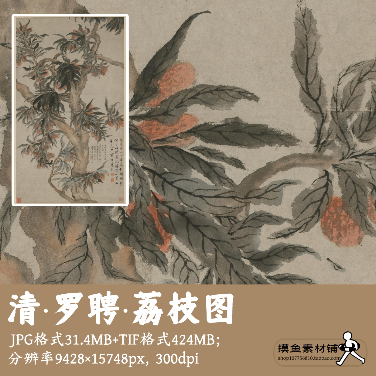 清罗聘荔枝图电子版素材图/中国画小写意花卉毛笔画临摹G17721