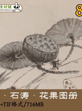 清代石涛花果图册/国画写生花卉蔬果册页画集临摹JPG+TIF/GD12606