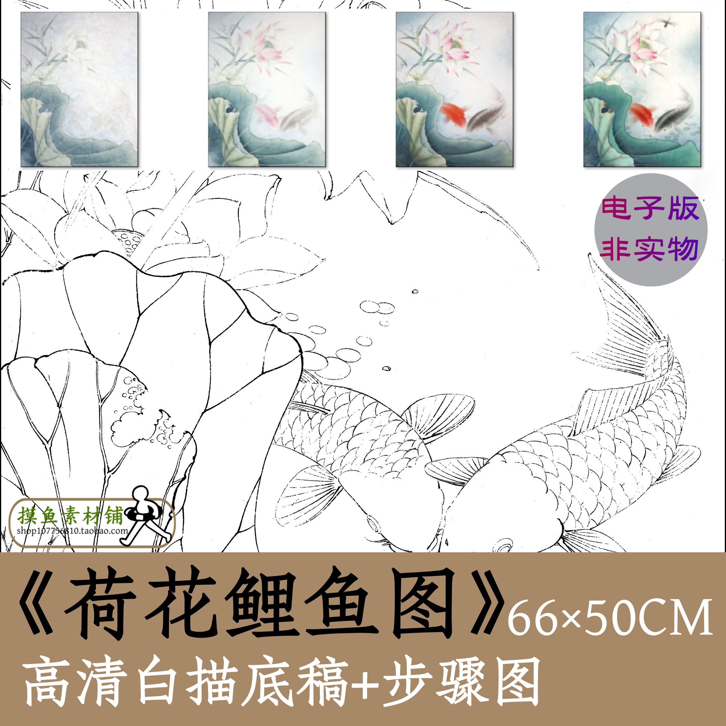工笔荷花图莲花图电子版白描勾线稿带步骤图素材x201荷花鲤鱼图
