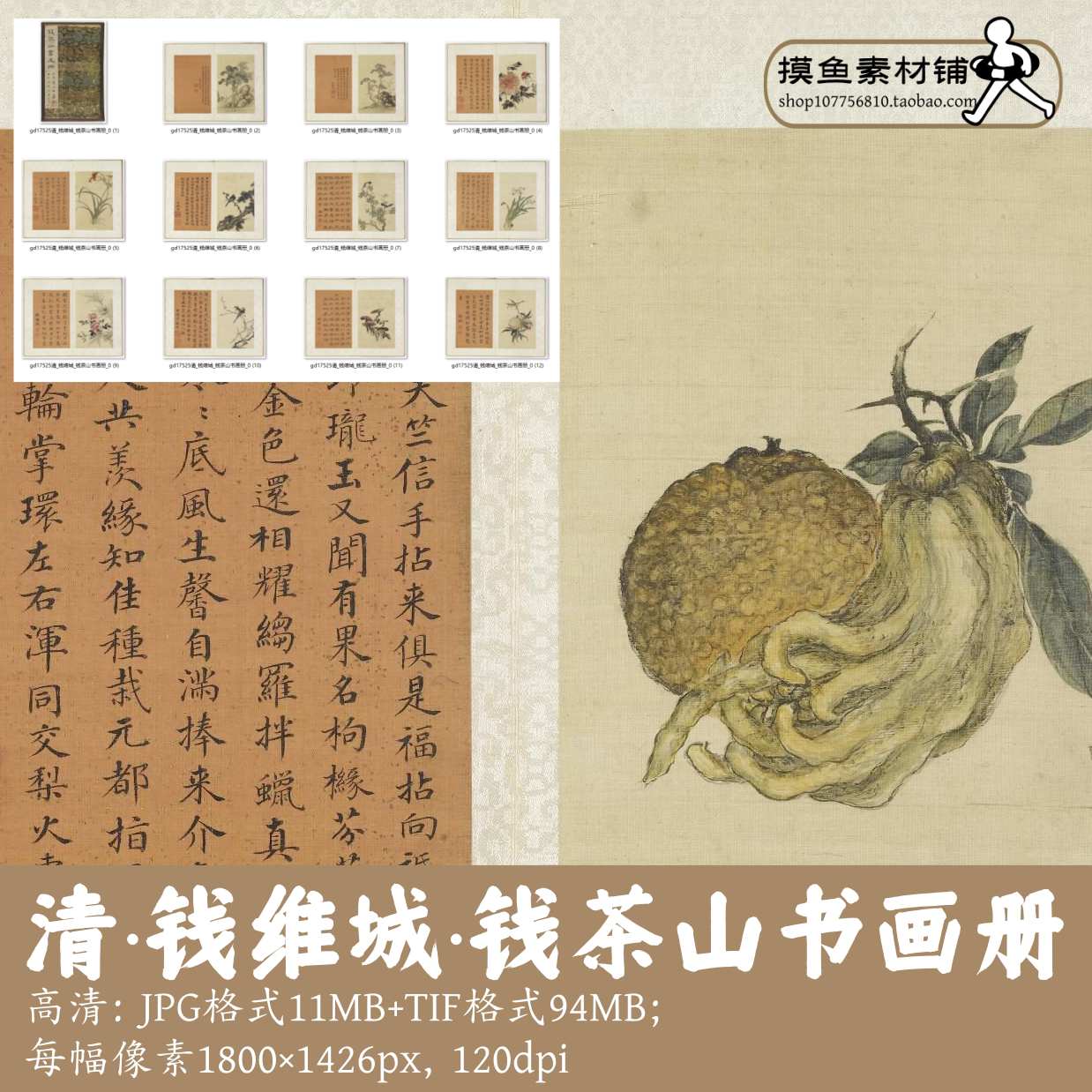 清代钱维城/钱茶山书画册/中国画植物花卉书画册素材设计gd17525