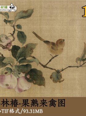 宋代林椿果熟来禽图/高清宋画原图tif大图古画宋人小品国画gd1362