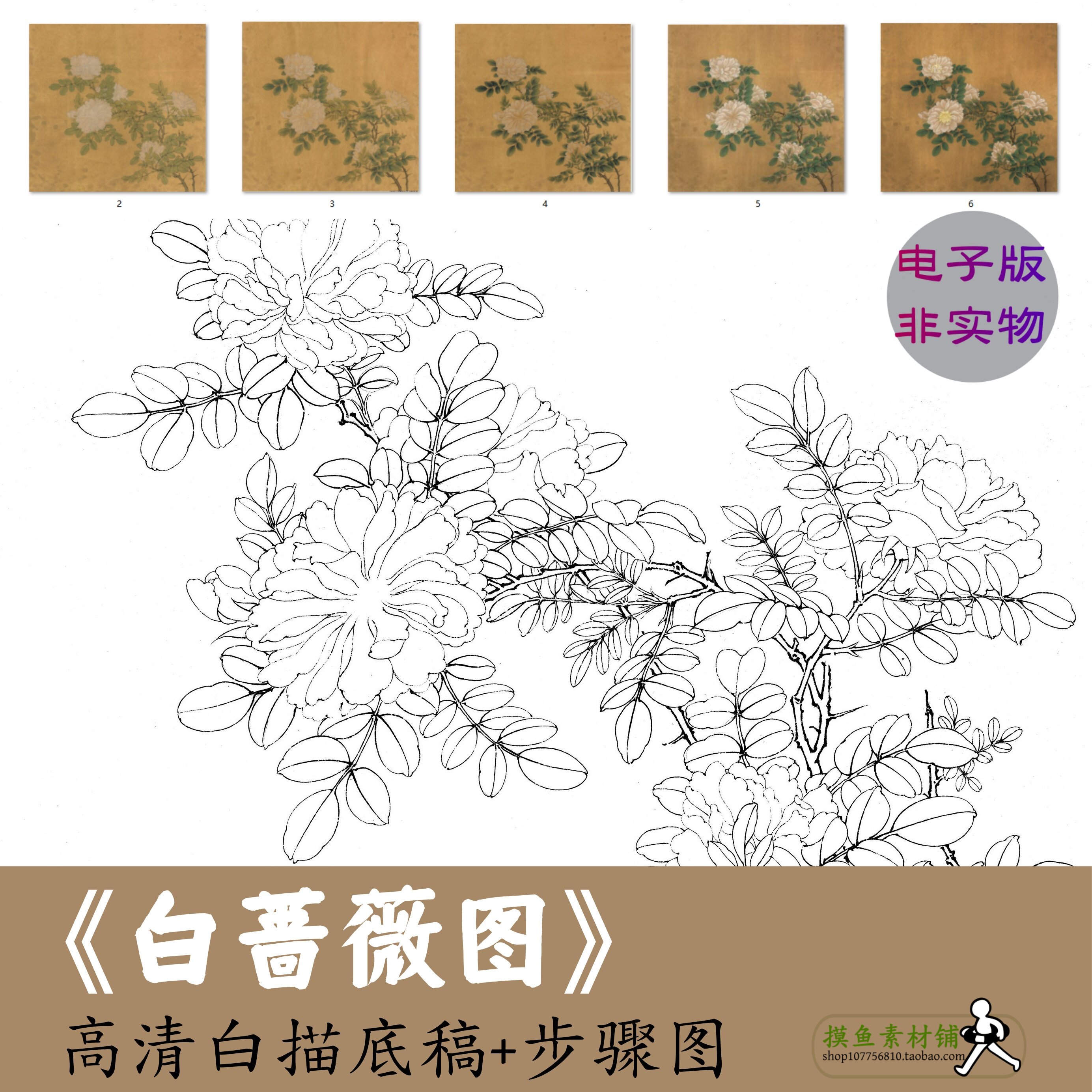 高清宋画工笔画白描底稿写生白蔷薇图初学者临摹带步骤图绘画x104