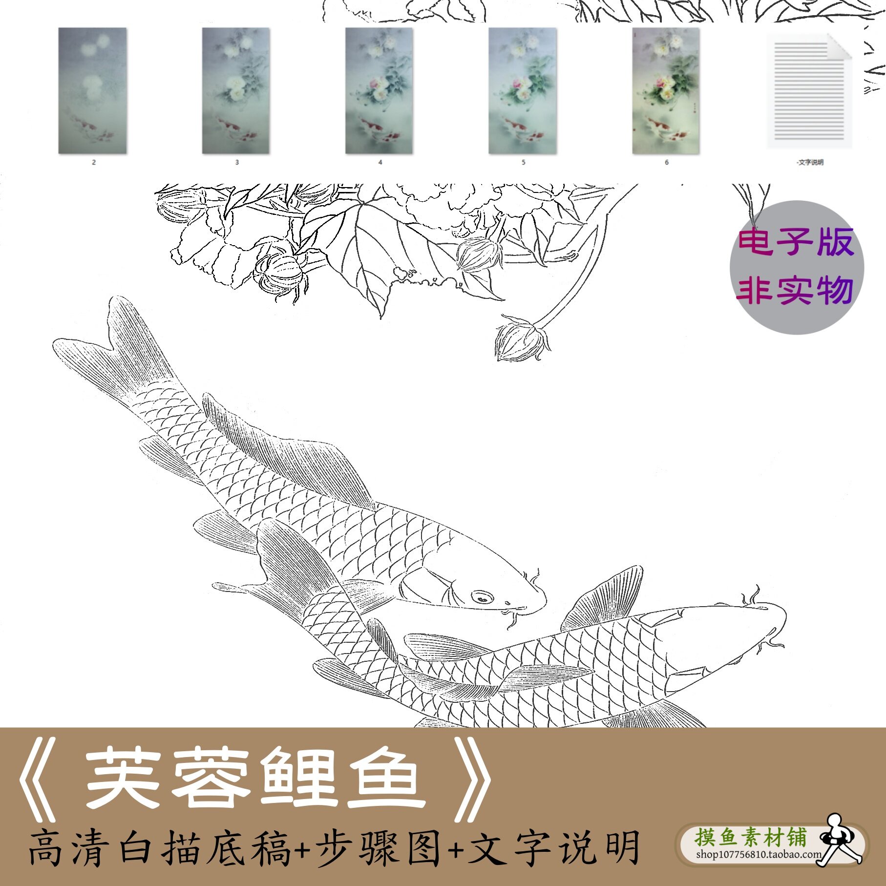 工笔画芙蓉鲤鱼图 李晓明花鸟白描底稿电子版初学者临摹素材x189