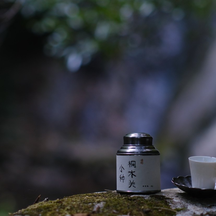 武夷红茶正山小种桐木关小种桂圆香栀子花香50g