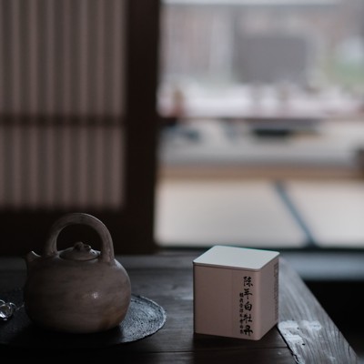 福鼎白茶蜜香白牡丹14年高山茶陈年老白茶