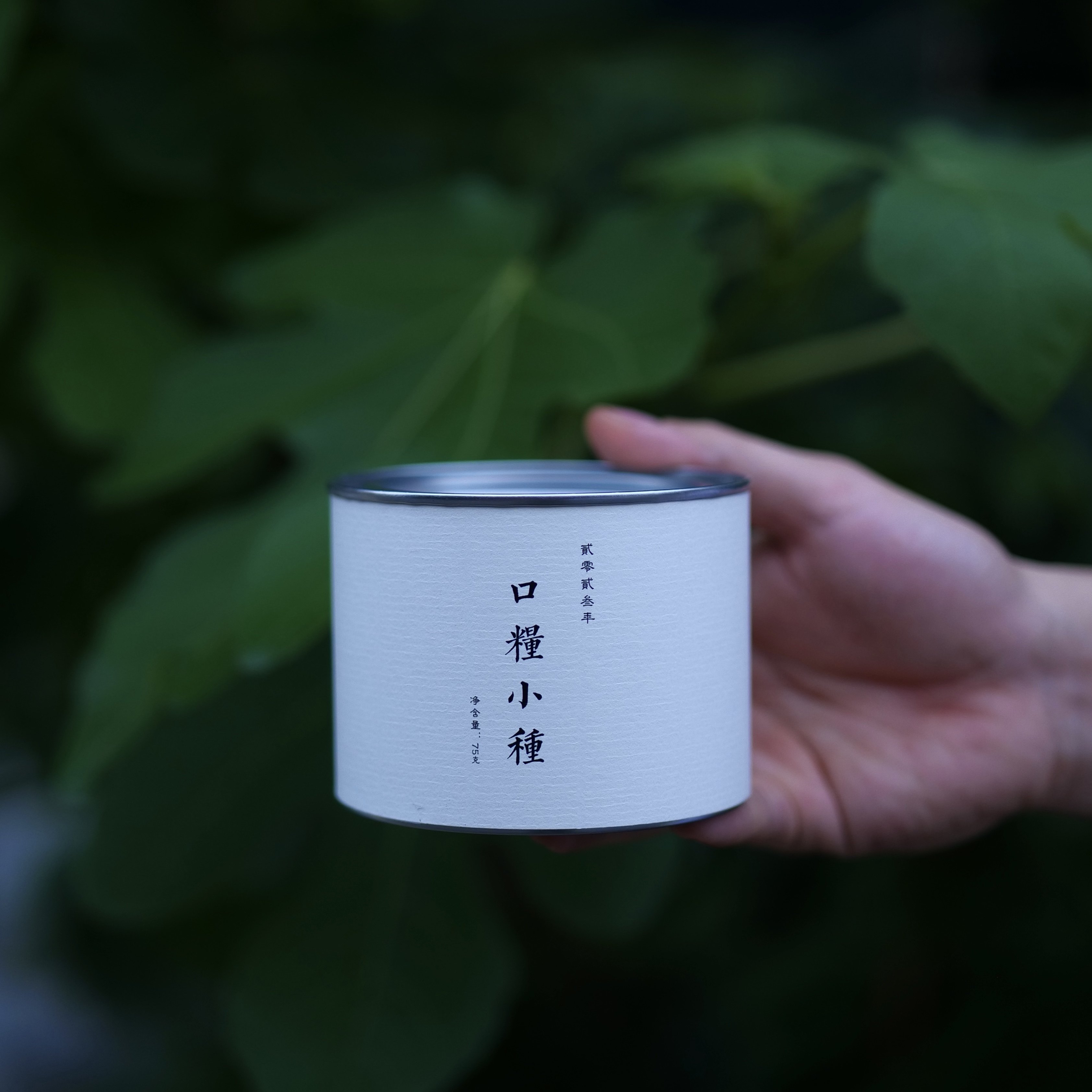 正山小种红茶茶叶武夷原产正宗红茶2024年新茶蜜香型简装,茶,正山小种,淘宝优惠券,粉丝福利购,淘宝优惠卷