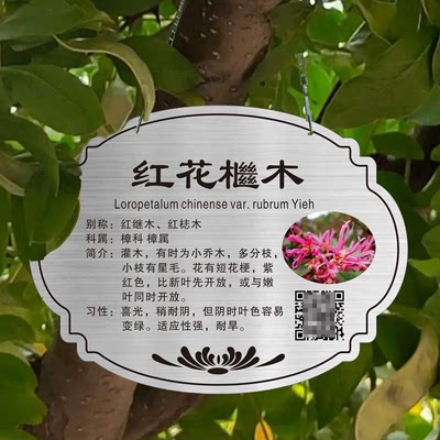 植树节认养牌不锈钢树木介绍牌