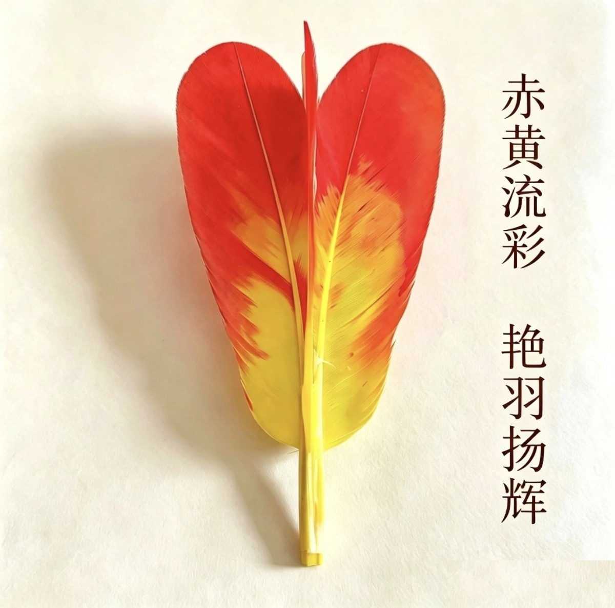 见羽飞 南派花毽备用羽毛 红黄渐变尖毛 广式花毽替换配件
