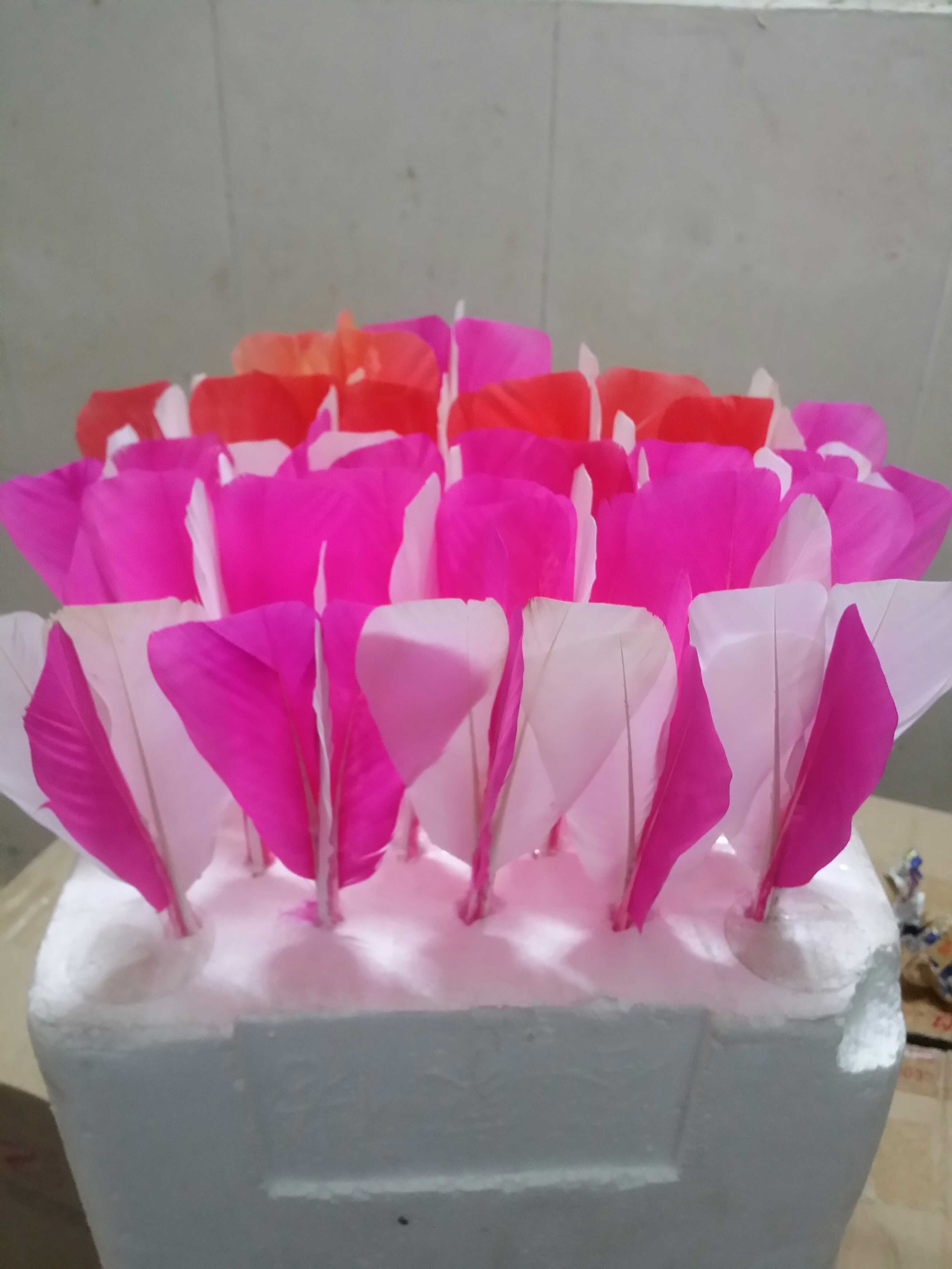 【毽羽飞】毽毛（不带底）南派花毽白鸽毛毽特大毛（宽4.5公分）