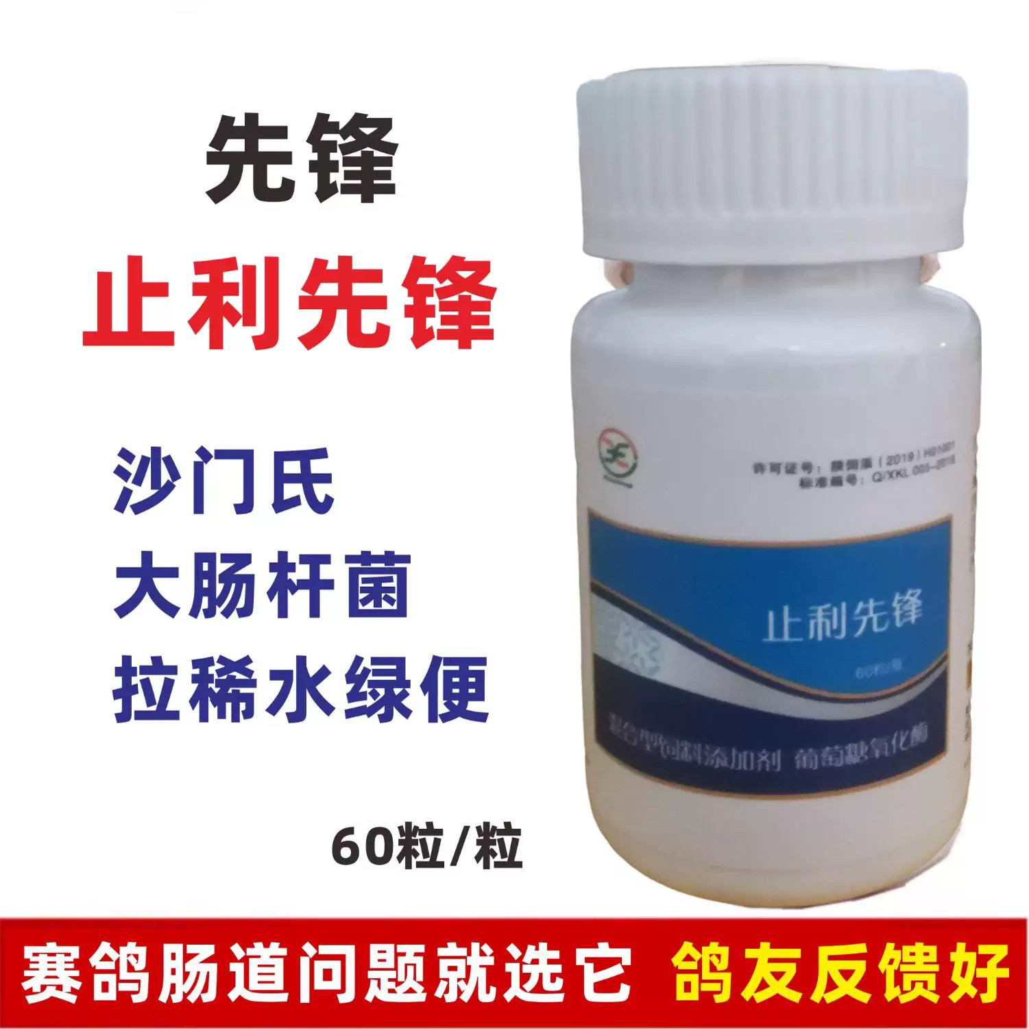 止痢先锋60粒胶囊赛鸽子沙门氏大肠杆菌伤寒拉稀水绿便肠道专用
