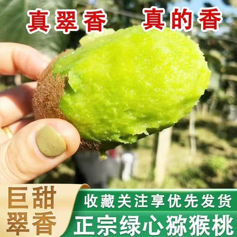 周至翠香猕猴桃原产地直发9斤