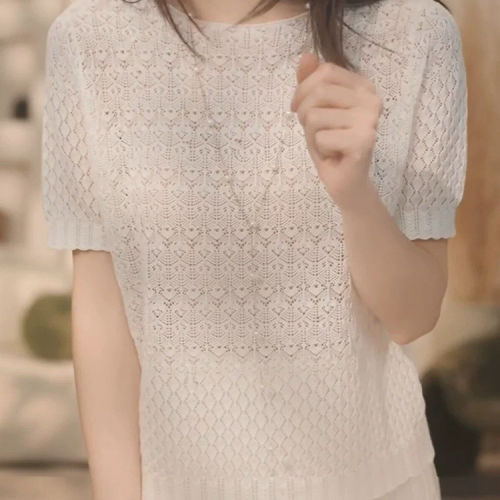 小众高级感镂空短袖针织衫女