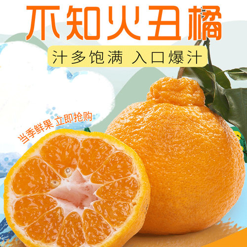 四川丑橘新鲜水果当季现摘现发丑桔橘子孕妇水果桔子中果3斤装