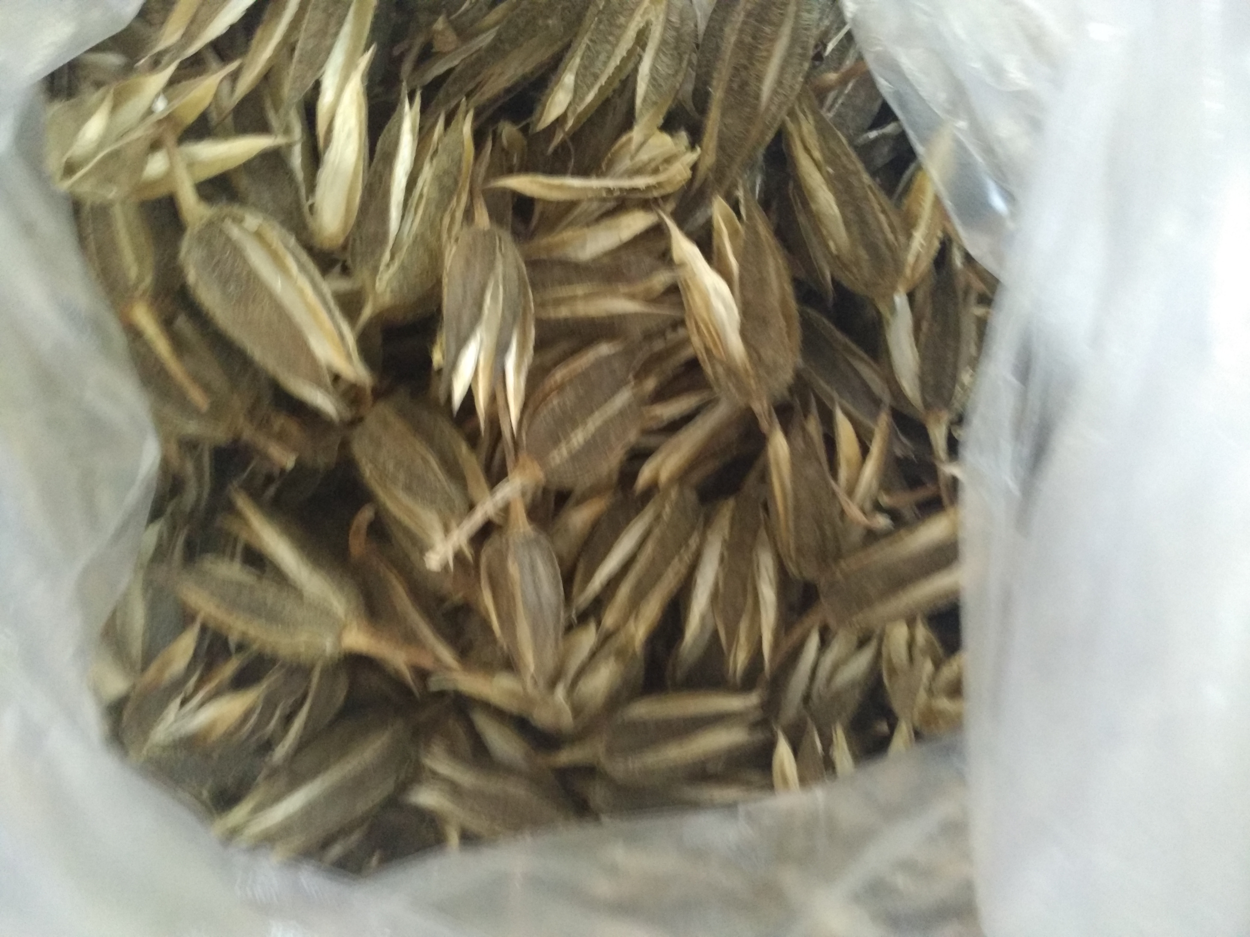 金花葵壳金花葵果壳一斤500g包邮
