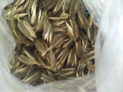 金花葵壳金花葵果壳一斤500g包邮