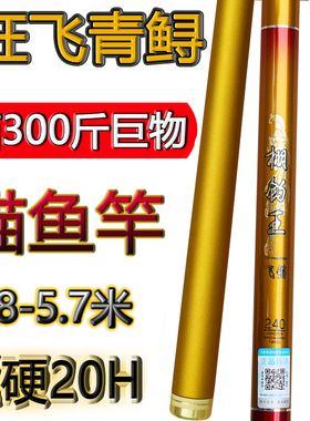 棚钓王鱼竿超硬20h巨物竿黑坑掏桥洞暴力狂飞青草鲟鱼锚鱼台钓竿