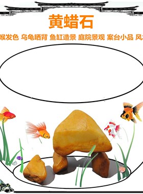 鱼缸造景组合天然黄蜡腊原石头黄喉乌龟晒台发色水族沉木观赏摆件
