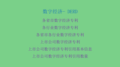 数字经济各省市行业上市公司数字经济专利引用基本信息数两91-21