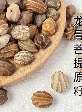天然龙骨菩提子龙脊菩提原材料按斤称原生态diy文玩菩提手串手工