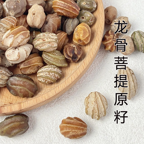 精选天然龙骨龙脊菩提原籽