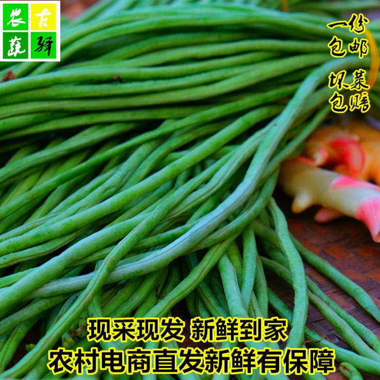 新鲜豇豆3斤农家当季蔬菜角豆姜豆脆嫩挂长豆角现摘特产包邮