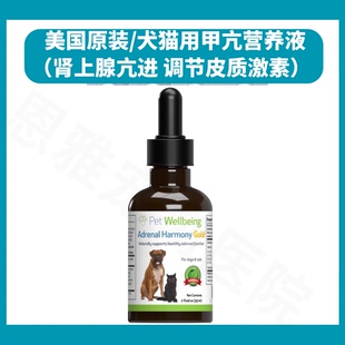 美国犬猫肾上腺素亢进营养液狗库欣综合征狗狗甲亢调节皮质激素多